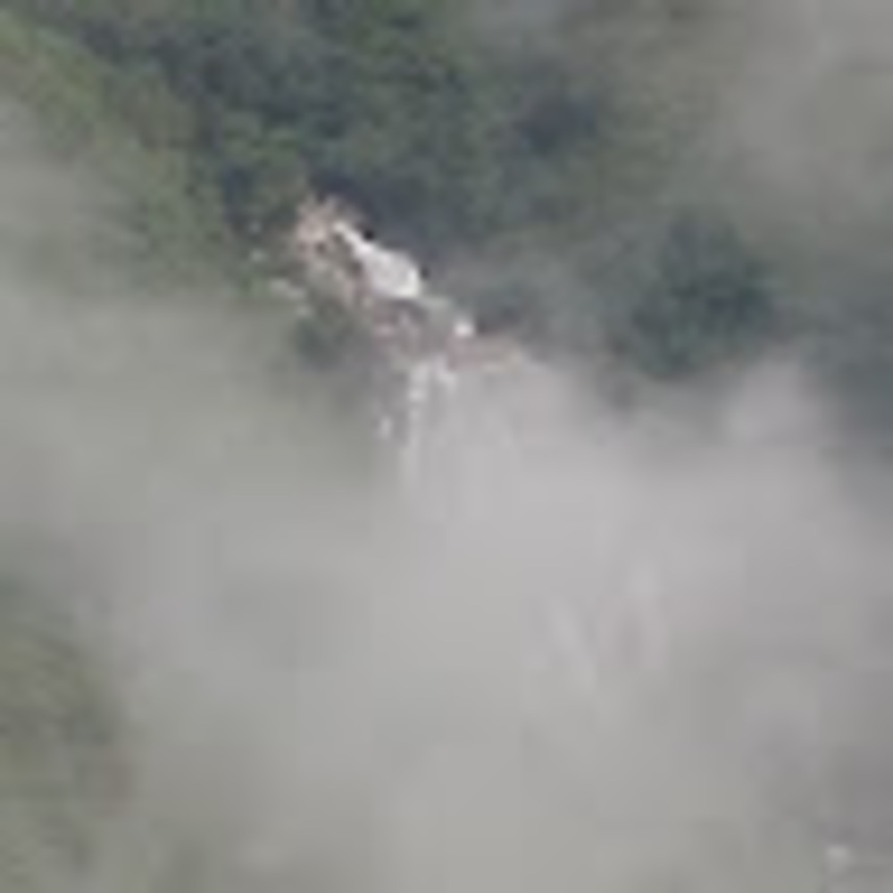 Meet your Posher, Johnson